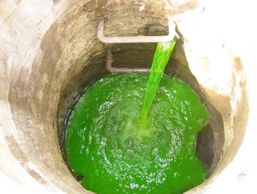 Accurate dye testing services to identify hidden leaks drainage issues and plumbing faults providing reliable diagnostics for effective repairs